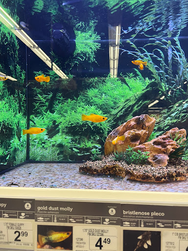 Pet Supply Store «Petco Animal Supplies», reviews and photos, 3495 Sports Arena Blvd, San Diego, CA 92110, USA