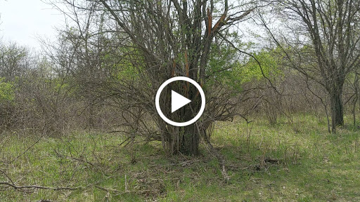 Golf Course «Radrick Farms Golf Course», reviews and photos, 4875 Geddes Road, Ann Arbor, MI 48105, USA