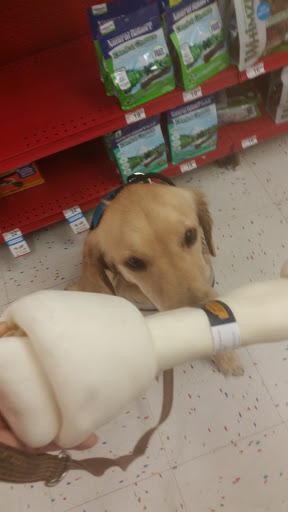 Pet Supply Store «Petco Animal Supplies», reviews and photos, 5481 Lone Tree Way, Brentwood, CA 94513, USA