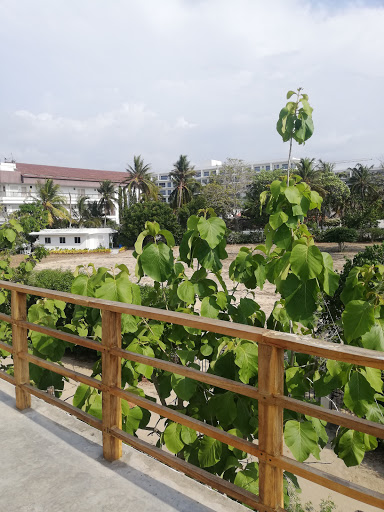 Bungalows that allow dogs in Cartagena