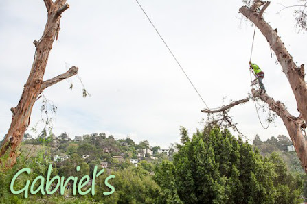 Gabriel´s Tree Service And Landscaping 11528 Felton Ave, Los Angeles, CA 90045