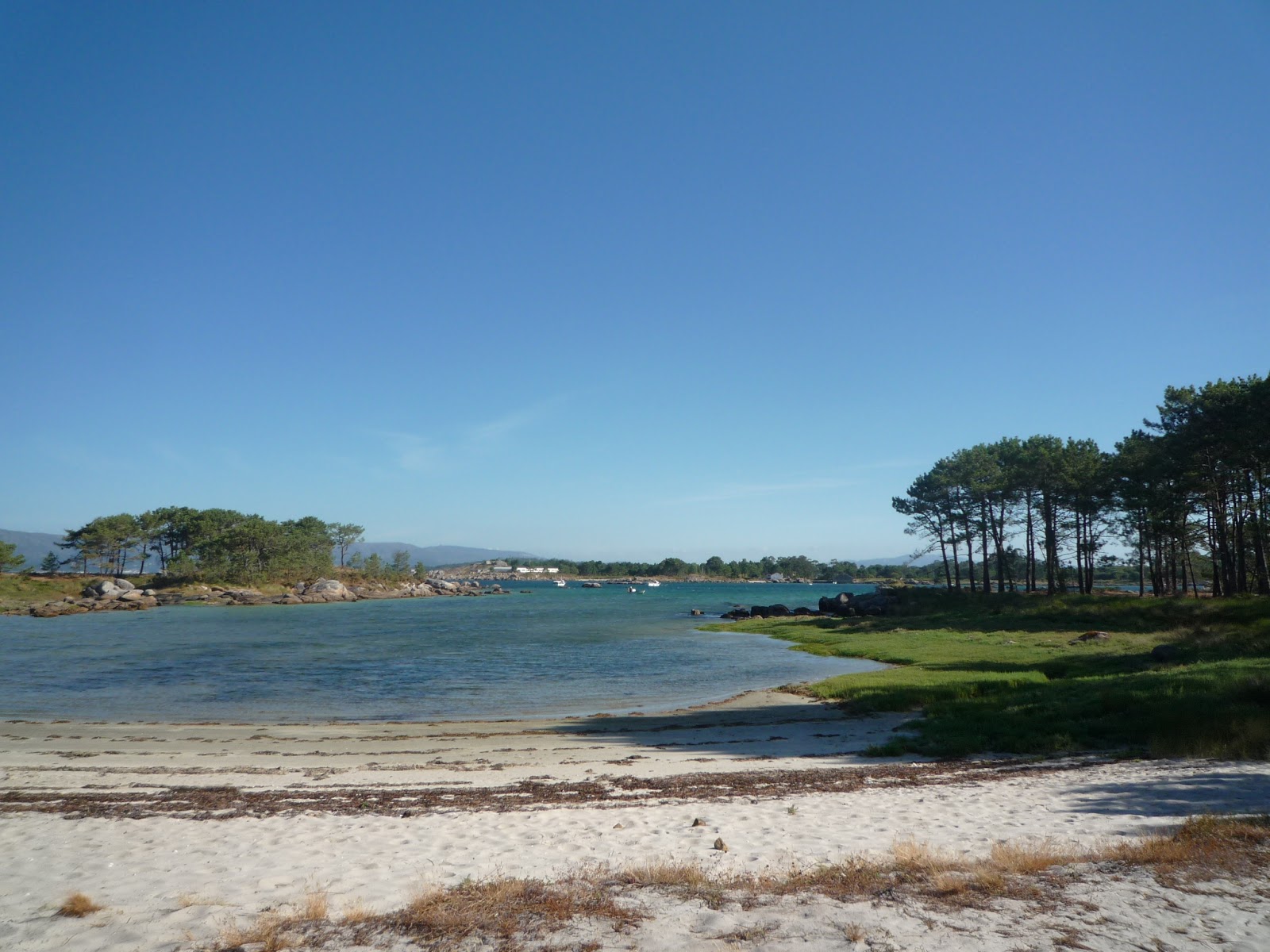 Photo de Playa de Espinos avec un niveau de propreté de très propre