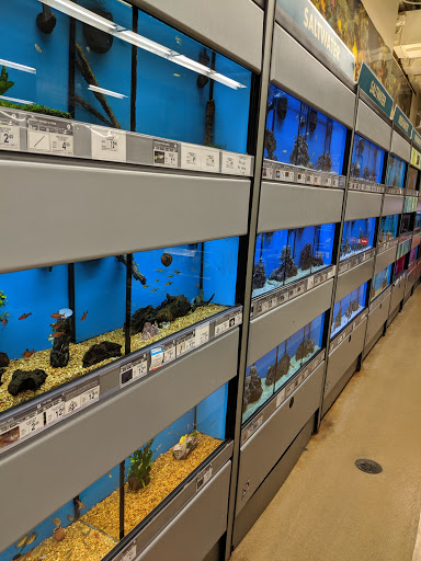 Pet Supply Store «Petco Animal Supplies», reviews and photos, 1121 5th St, Miami Beach, FL 33139, USA