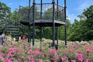 Columbus Park of Roses image