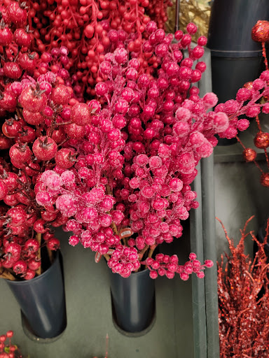 Craft Store «Hobby Lobby», reviews and photos, 1751 Scottsville Rd #10, Bowling Green, KY 42104, USA