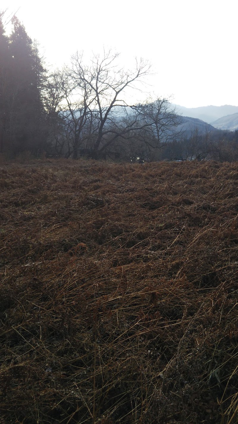 倉渕村長井石器時代住居跡