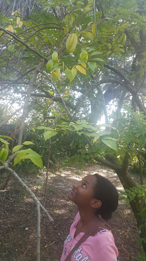 Farm «Sweetwater Organic Community Farm», reviews and photos, 6942 W Comanche Ave, Tampa, FL 33634, USA