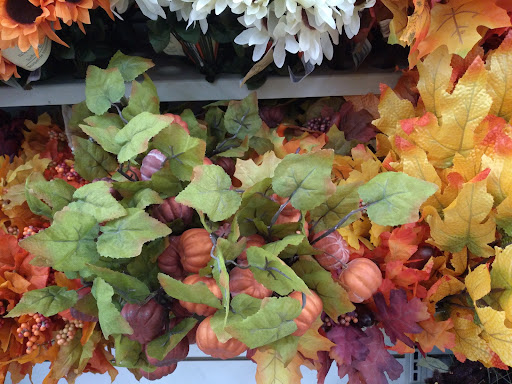 Dollar Store «Dollar Tree», reviews and photos, 700 Central Ave, Pawtucket, RI 02861, USA