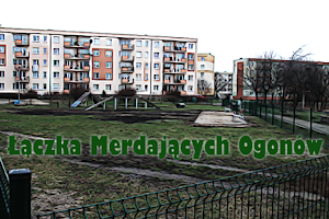 Łączka Merdających Ogonów image