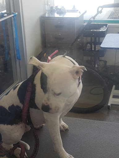 Pet Supply Store «Petco Animal Supplies», reviews and photos, 1591 Sloat Blvd, San Francisco, CA 94132, USA