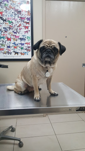 Surfside Animal Hospital image