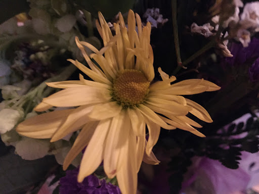 Florist «Roanoke Florist», reviews and photos, 500 US-377, Roanoke, TX 76262, USA