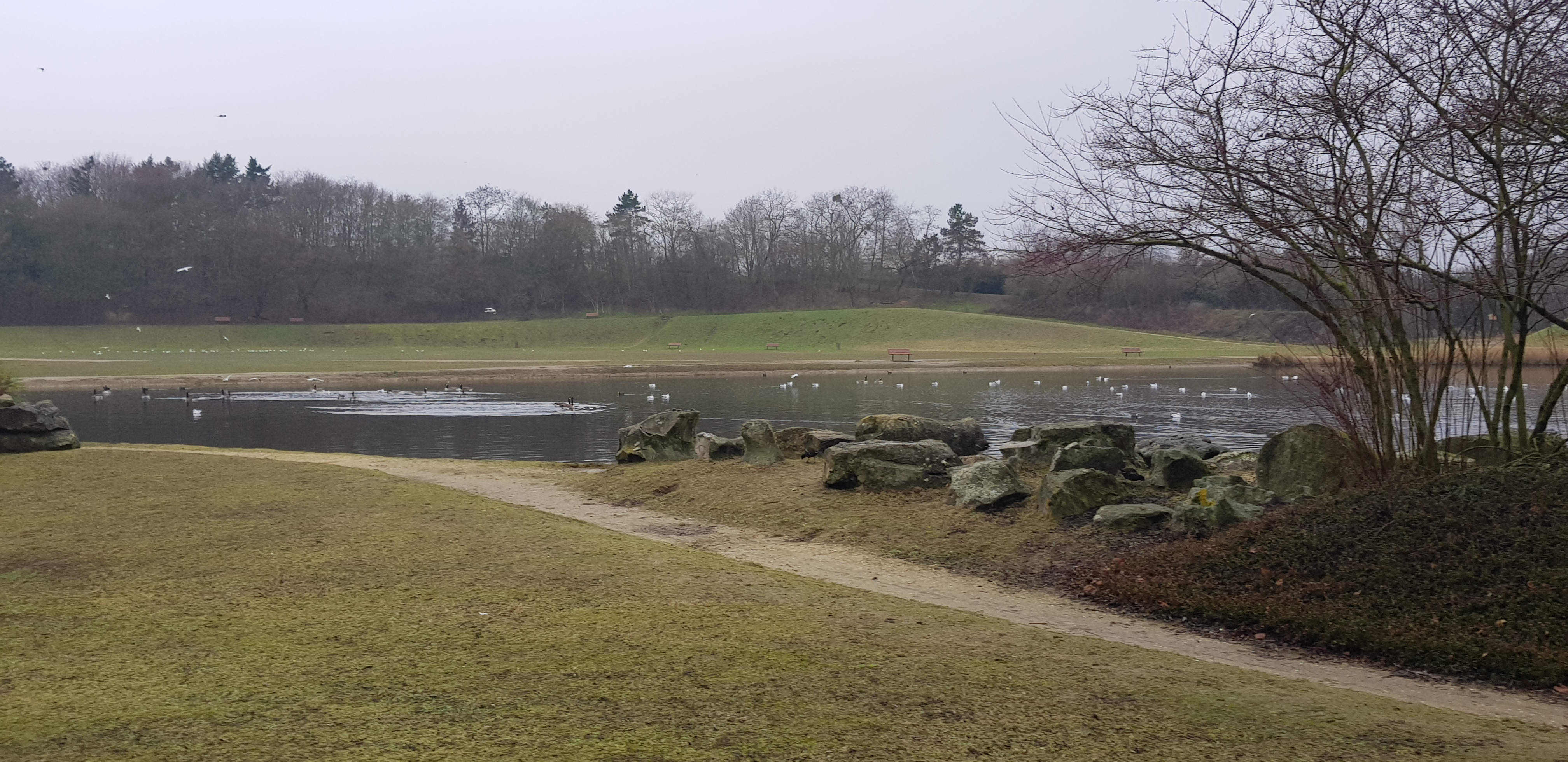 Photo n° 2 de l'avis de MICHELSON. fait le 20/01/2019 à 13:37