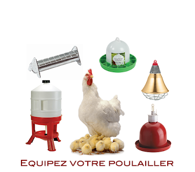 J’aime l’élevage à Usson-du-Poitou