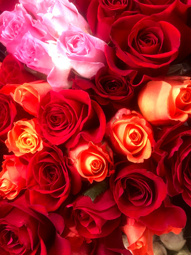 Coffee Shop «Sunrise Coffee Shop», reviews and photos, 247 SW Rutledge St, Madison, FL 32340, USA