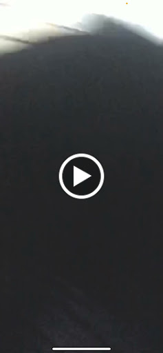 Grocery Store «Battery Place Market», reviews and photos, 240 Murray Street, New York, NY 10282, USA