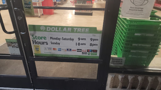 Dollar Store «Dollar Tree», reviews and photos, 3800 Kietzke Ln #100, Reno, NV 89502, USA