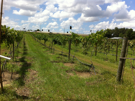 Winery «Hutchinson Farm Winery, LLC», reviews and photos, 8061 Stone Rd, Apopka, FL 32703, USA