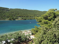 Photo de Dumici beach avec un rivage spacieux