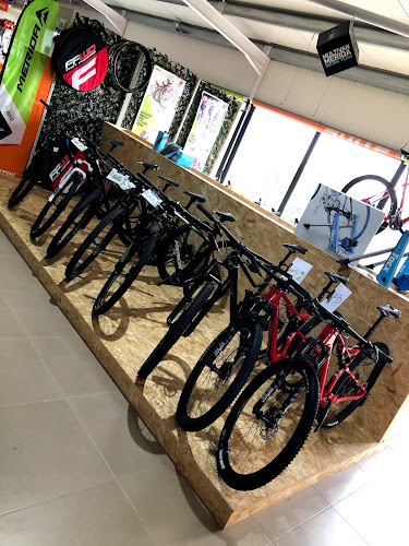 Quintela Cycles - Merida Bikes - Ponte de Lima