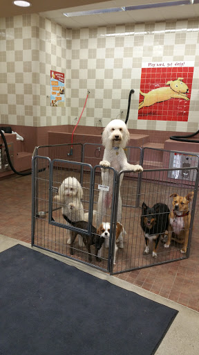 Pet Supply Store «Pet Food Express», reviews and photos, 9153 W Olympic Blvd, Beverly Hills, CA 90212, USA