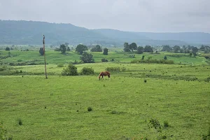 Pandariya, Chhattisgarh, India image