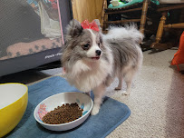 Bubbles & Bows - Photo 5 - Car repair in Gulfport, MS, Gulfport