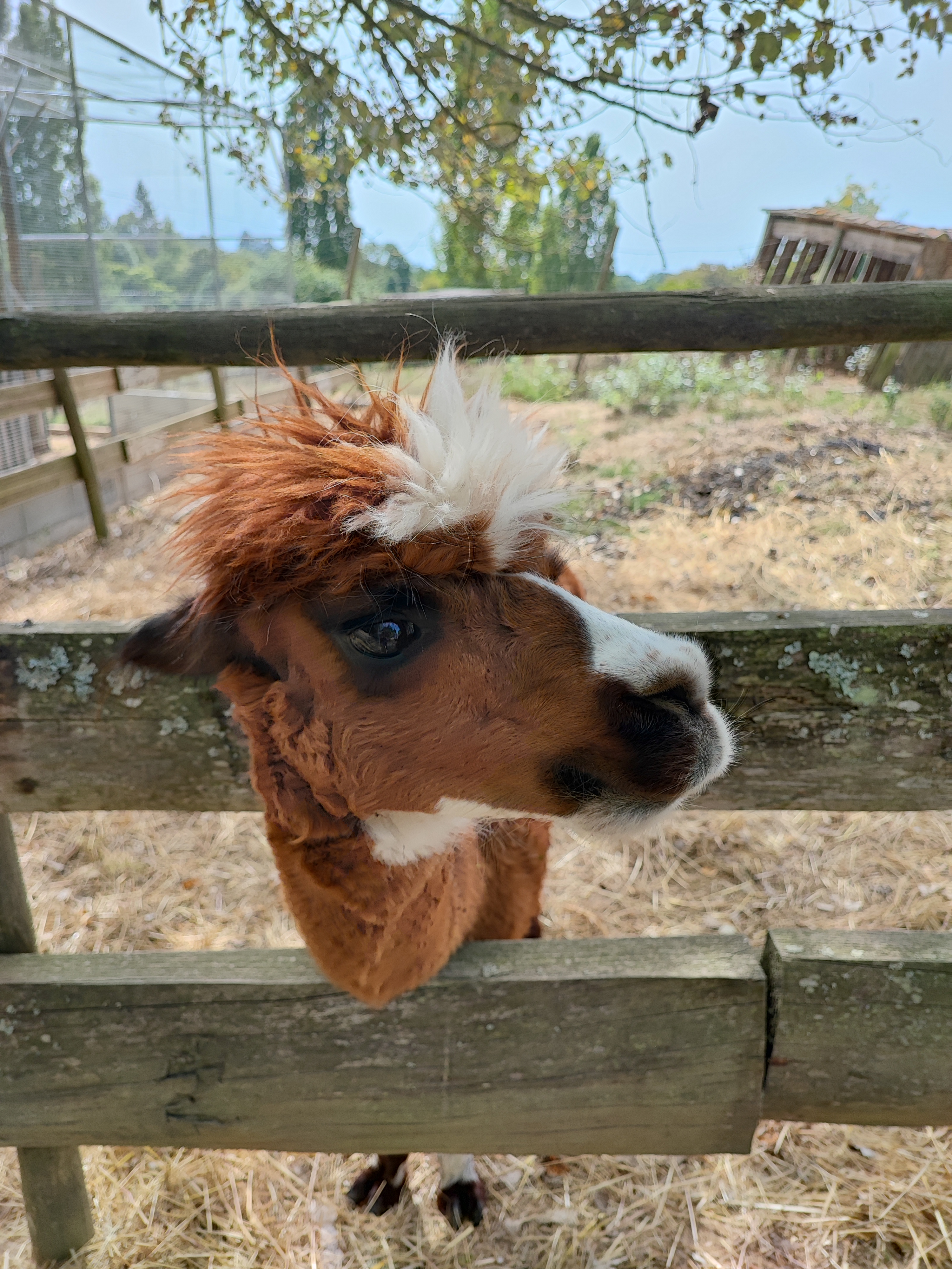 Photo n° 1 de l'avis de Fiona.a fait le 09/09/2023 à 09:26