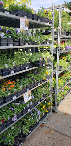 Hardware Store «Woodley Park Ace Hardware», reviews and photos, 2616 Connecticut Ave NW, Washington, DC 20008, USA