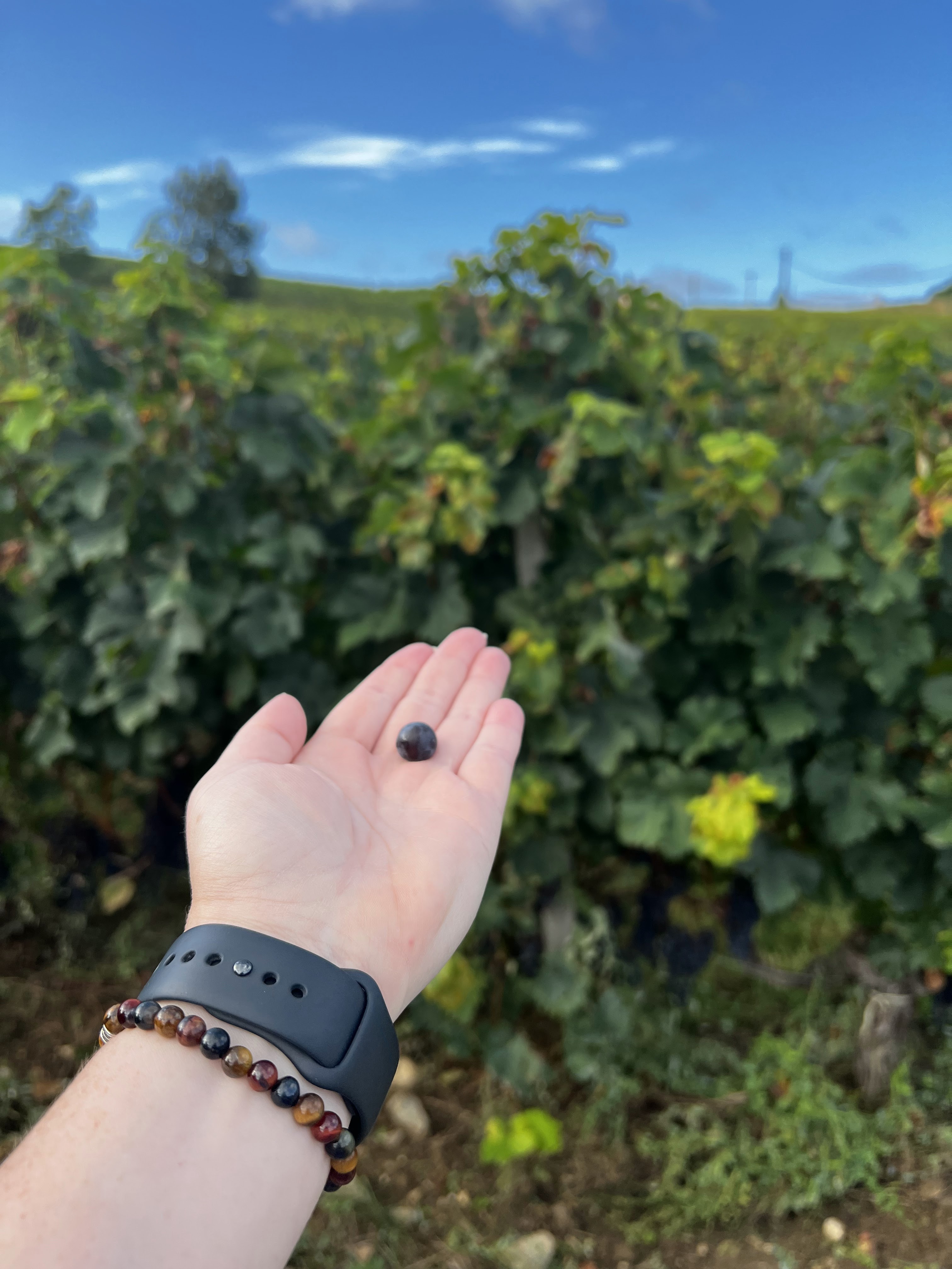 Photo n° 2 de l'avis de Marina.a fait le 16/09/2023 à 13:54
