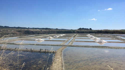 Épicerie LaGalette - Vente de Sel De Guérande en direct du producteur La Turballe