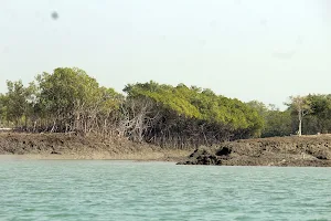 Sundarban Dhanchi Forest image