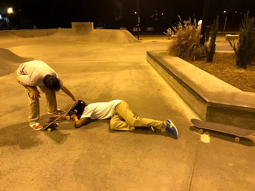 Rodgers Family Skate Plaza