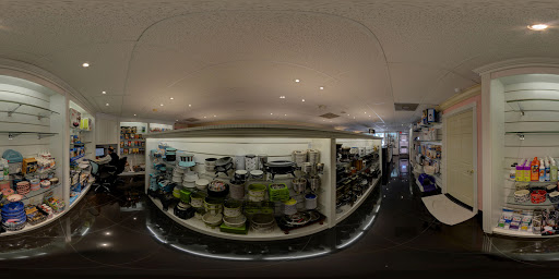 Pet Store «Puppy Boutique Store», reviews and photos, 4001 N Federal Hwy, Fort Lauderdale, FL 33308, USA