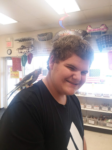 Pet Supply Store «Pet Palace Inc», reviews and photos, 253 Scranton Carbondale Hwy, Scranton, PA 18508, USA