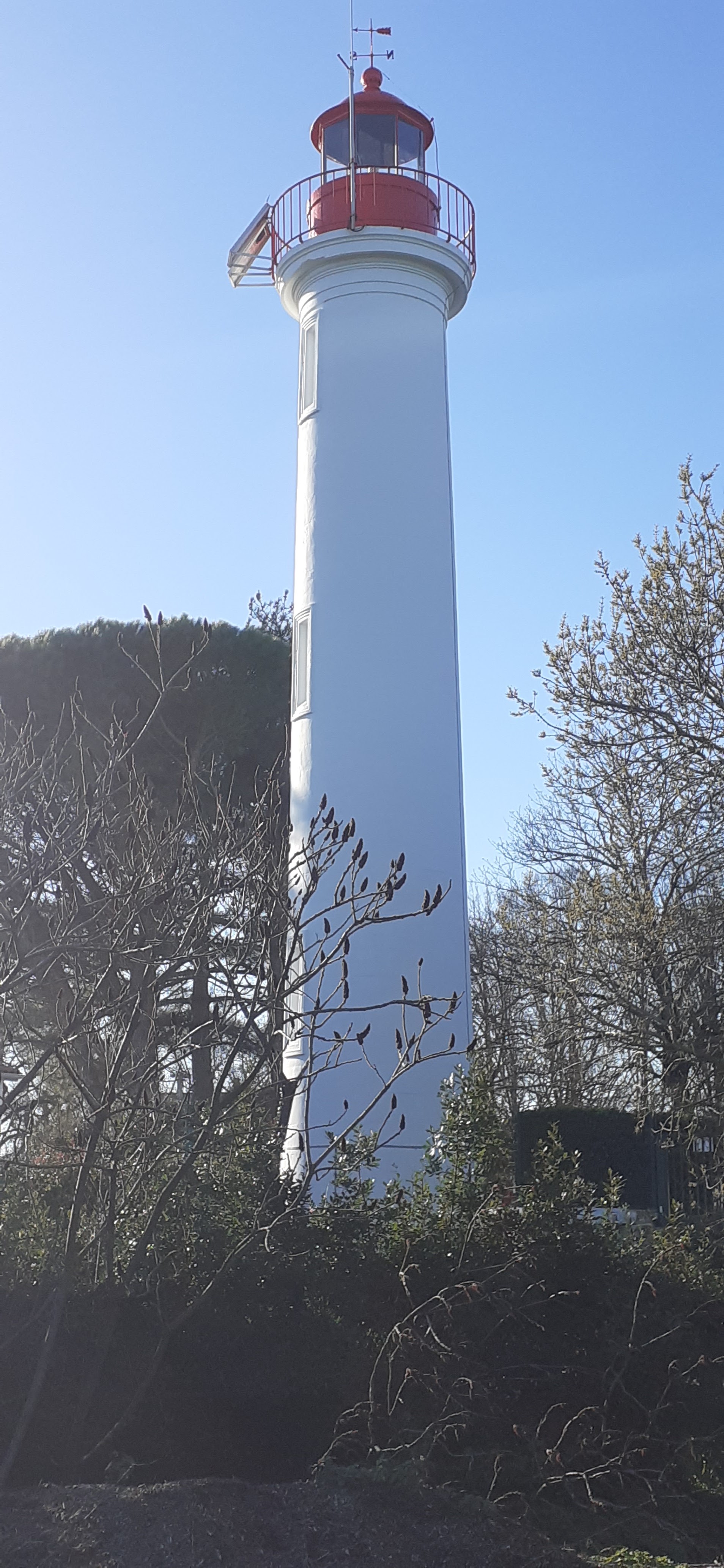 Photo n° 2 de l'avis de Mick53.i fait le 23/02/2021 à 16:58