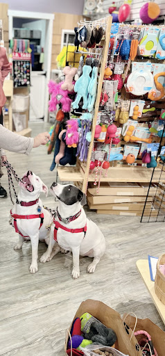 Pet Supply Store «USA Dog Shop», reviews and photos, 549 NY-17, Tuxedo Park, NY 10987, USA