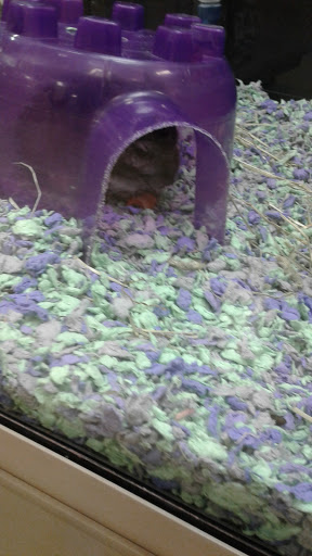 Pet Supply Store «PetSmart», reviews and photos, 901 US-1, North Brunswick Township, NJ 08902, USA
