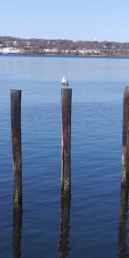 History Museum «Battleship Cove», reviews and photos, 5 Water St, Fall River, MA 02721, USA