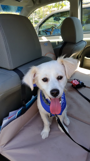 Pet Supply Store «PetSmart», reviews and photos, 30515 Av. de Las Flores, Rancho Santa Margarita, CA 92688, USA