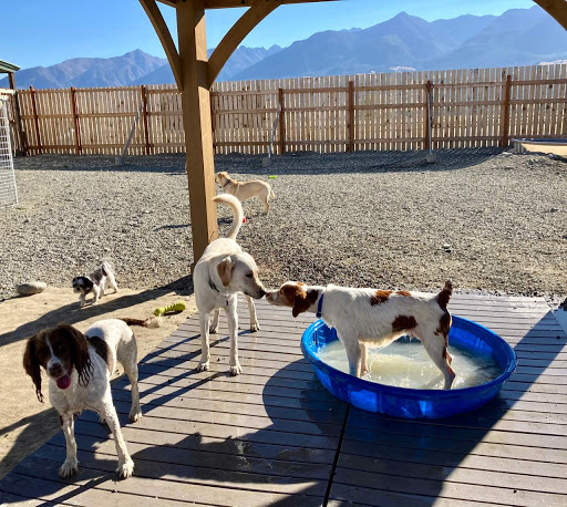 Yellowstone Pet Boarding