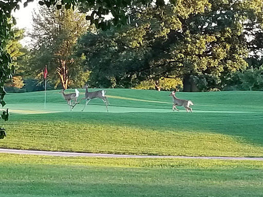 Golf Club «Sahm Golf Course», reviews and photos, 6801 E 91st St, Indianapolis, IN 46250, USA