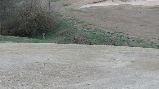 Public Golf Course «Twelve Stones Golf Club», reviews and photos, 1201 12 Stones Crossing, Goodlettsville, TN 37072, USA