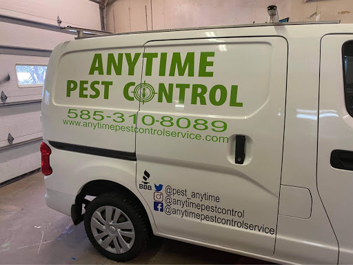 Anytime Pest Control image 4