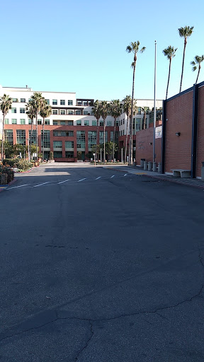 Department of Motor Vehicles «Santa Monica DMV», reviews and photos