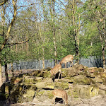 Photo n°31 de l'avis de Rolf.o fait le 14/04/2024 à 17:25 sur le  Hotel Panorama Heidelberg à Heidelberg