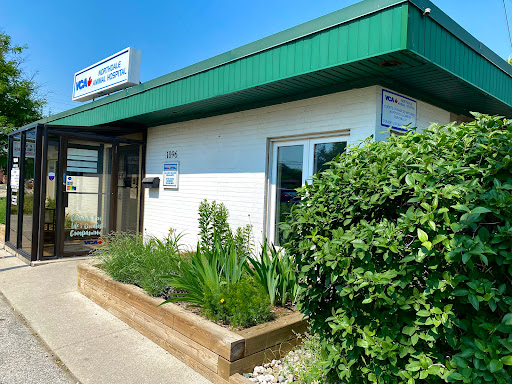 VCA Canada Northdale Animal Hospital image