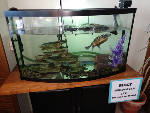 Book Store «Book Bin», reviews and photos, 1151 Church St, Northbrook, IL 60062, USA