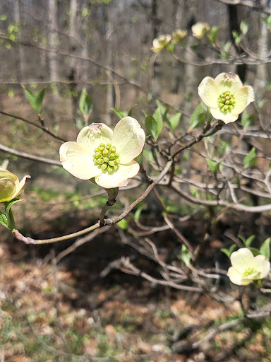 Tourist Attraction «Heflin Park», reviews and photos, 4323 W 700 N, Edinburgh, IN 46124, USA