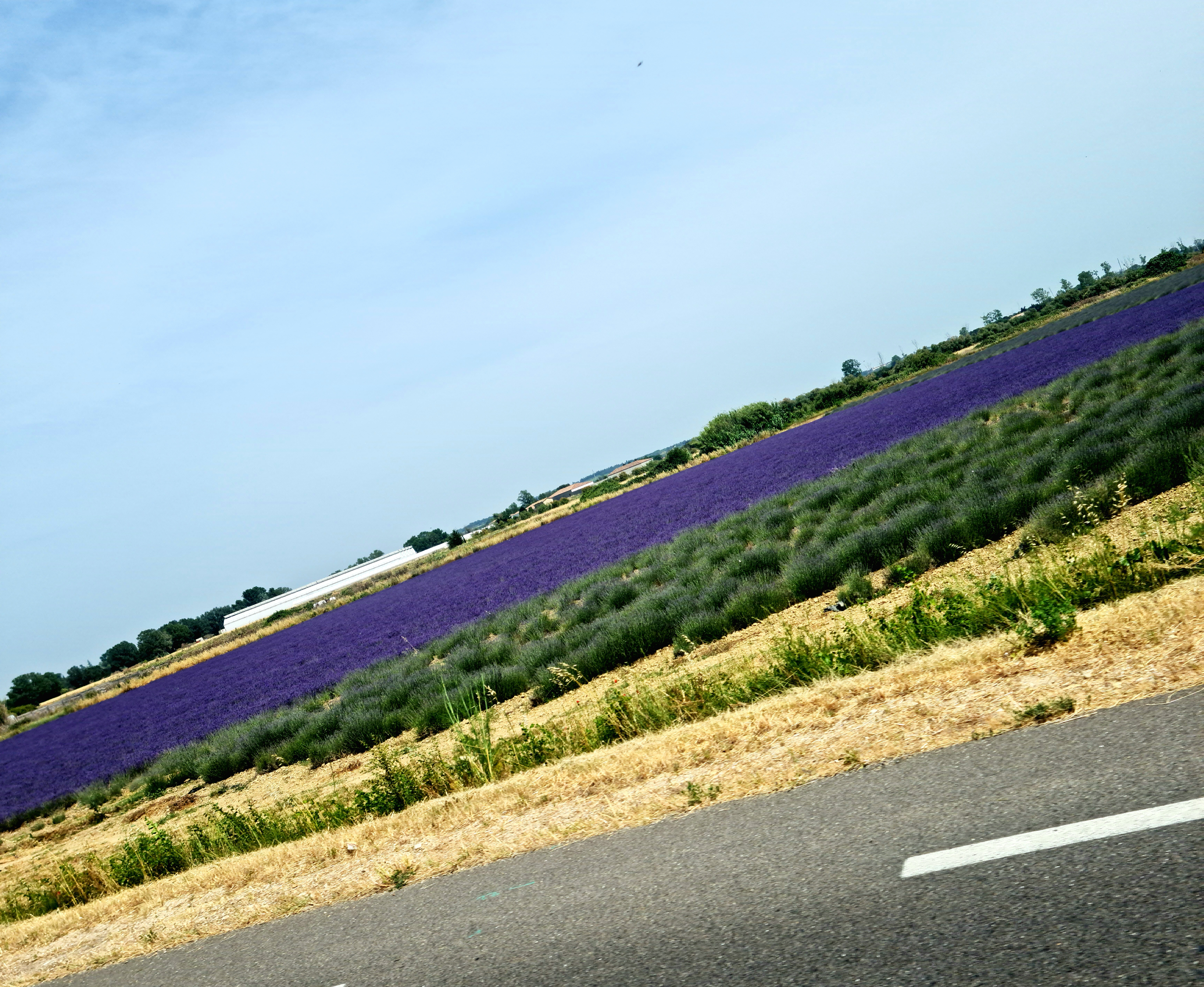Photo n° 5 de l'avis de toxic.u fait le 04/06/2022 à 19:59